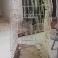 قفس پرنده بزرگ