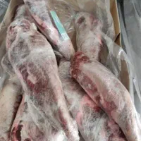 انواع پاچه و کوبیده یسنا|خوردنی و آشامیدنی|اهواز, کوی طلاب|دیوار