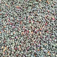 فورس فوری بنه 30 کیلو