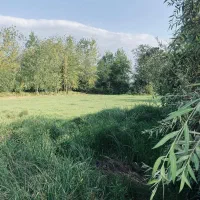 زمین باغی بازکیاگوراب ایشکا|فروش زمین و ملک کلنگی|لاهیجان, بازکیاگوراب|دیوار