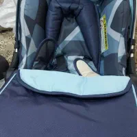 کااسکه رودویکو کریر گود بیبی