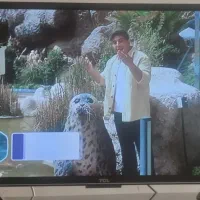 تلویزیون  TCL|تلویزیون و پروژکتور|مشهد, خواجه ربیع|دیوار