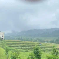 ویلا اجاره ای روزانه