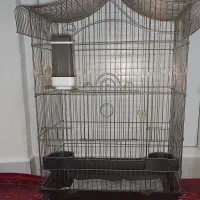 قفس پرنده