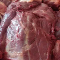 پخش گوشت گوساله تازه