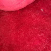 میمون بزرگ