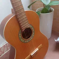 گیتار پارسی m5