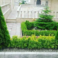 شرکت مهندسی فضای سبز لتکا