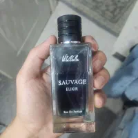 ادکلن ساواج  Dior sauvage ( خوشبو ماندگار )|آرایشی، بهداشتی، درمانی|تهران, ارم|دیوار