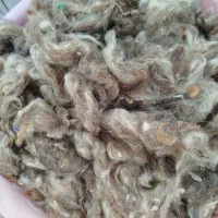 پشم گوسفند
