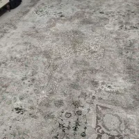 فرش|فرش|گرگان, |دیوار