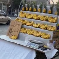 گاری چهار چرخ زیر قیمت