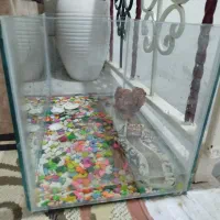 اکواریوم