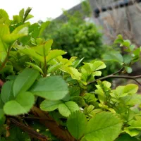 فروش ملک برای زندگی با امتیازات کامل زاک ماریان