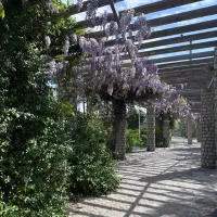 رهن و اجاره ویلایی ۲۰۰متر/دربست-هاشمیه