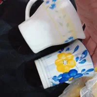 شش جعبه ظرف   مناسب خونه باغ و ویلایی|ظروف سرو و پذیرایی|فریدون‌کنار, |دیوار