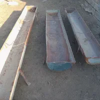آغول گوسفند