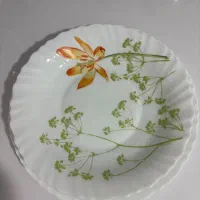 ارکوپال مارک پارس اوپال