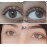 روغن فندق یک وسیله شخصی زیبایی برای هرنفر|آرایشی، بهداشتی، درمانی|رامسر, |دیوار