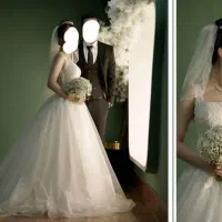 لباس عروس اروپایی شاین