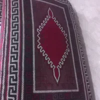 پشتی سالم