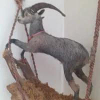 مجسمه خاص|مجسمه، تندیس، ماکت|سبزوار, ولیعصر (نجار آباد)|دیوار