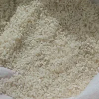بار جدید برنج جدید