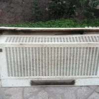 هود|هود|تربت جام, جامی|دیوار