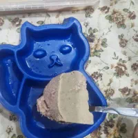(گربه و سگ ) غذای خانگی پروتئین پت