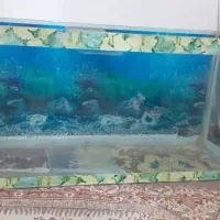 آکواریوم