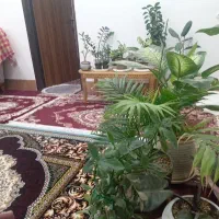 فروش-منزل-ویلایی-با-قیمت-عالی