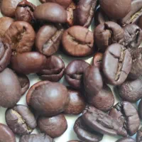 پخش قهوه و لوازم قهوه به قیمت کارخانه