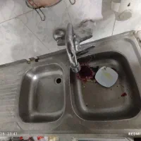 سینگ دوقلو سالم