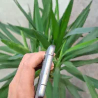 موتورولا Moto Edge 50 رم ۱۲ حافظه ۵۱۲|موبایل|مشهد, بهشت|دیوار