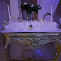 دیجی شادی اجرای مراسم