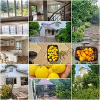 باغ ویلای در گیلان|فروش خانه و ویلا|لولمان, |دیوار