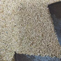 ارزن محلی تمیز
