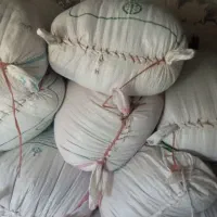 فروش گندم آفتاب برای بذر فوق العاده  منی ۱۴۴ هزار