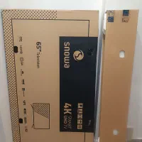 کارتون تلویزیون ۶۵ اسنوا