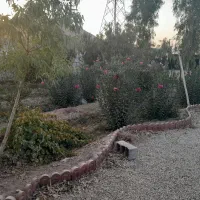 باغ تبرعه ازجهاد کشاورزی|فروش خانه و ویلا|اصفهان, قهجاورستان|دیوار