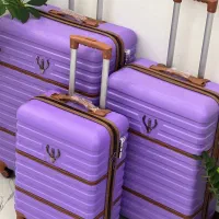 چمدان ‌چشمگیر جهیزیه عروس سفر مهاجرت کیف چمدون کسا