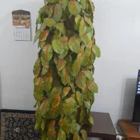 درخت مصنوعی با گلدون|گل مصنوعی|شیراز, بریجستون|دیوار