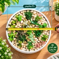 اول نگاهش کن... بعد حدس بزن چیه