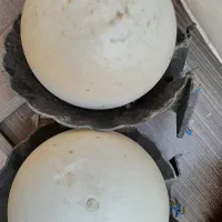 چراغ حبابی