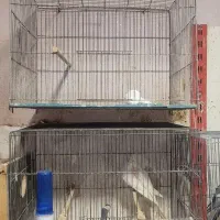 قفس پرنده قدیمی و ضخیم