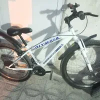 دوچرخه سفیدوزرد