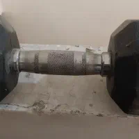 دمبل مکسولومعمولی