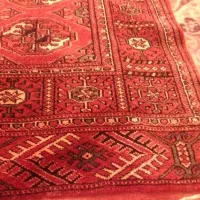 گلیم|گلیم، جاجیم، گبه|مشهد, مصلی (کارمندان اول)|دیوار