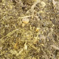 ذرت علوفه ای