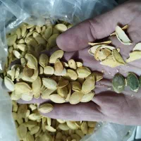 خشکبار ، کدو پر مغز|خوردنی و آشامیدنی|مشهد, کارمندان دوم|دیوار